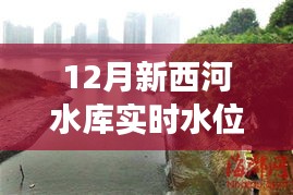 探秘水库水位下的秘密小店故事，十二月新西河水库实时水位表与小巷深处的美食之旅