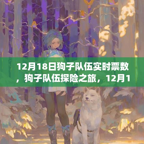 12月18日狗子队伍探险之旅，实时票数背后的自然美景探索之旅