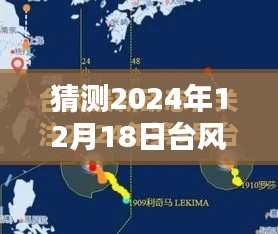 如何了解预测与关注，2024年12月18日台风的实时状况及预测位置查询指南