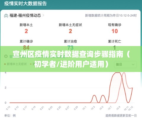 宣州区疫情实时数据查询指南，适合初学者与进阶用户参考