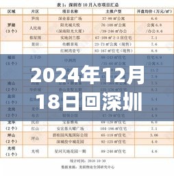 2024年深圳归乡实时路况导航新规定，智能科技重塑回深之路