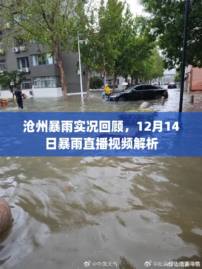 沧州暴雨实况回顾与直播视频解析，深度探讨暴雨事件及影响