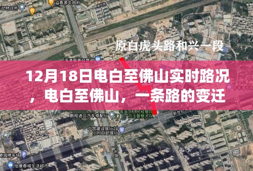 电白至佛山实时路况纪实，一条路的变迁见证时代步伐的跨越