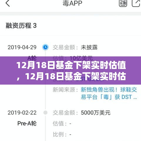 12月18日基金下架实时估值，机遇与挑战并存