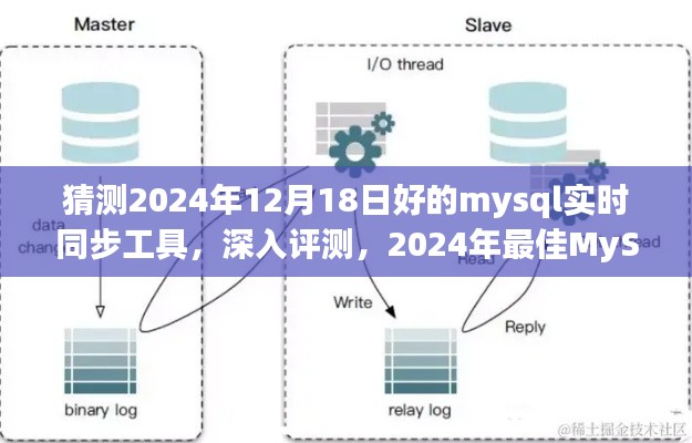 揭秘，2024年最佳MySQL实时同步工具深度评测与预测分析（日期，2024年12月18日）