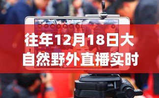 2024年12月21日 第6页