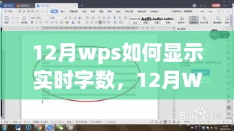 12月WPS实时字数显示功能使用指南与技巧