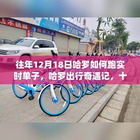 哈罗出行奇遇记，十二月十八日跑单攻略与暖心单体验