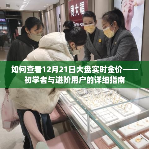 初学者与进阶用户指南，如何查看12月21日大盘实时金价