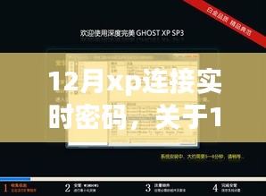 关于12月XP连接实时密码，安全性与便利性的探讨