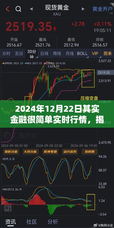 揭秘小巷深处的金融宝藏，2024年实时行情体验记，洞悉金融真相在行动