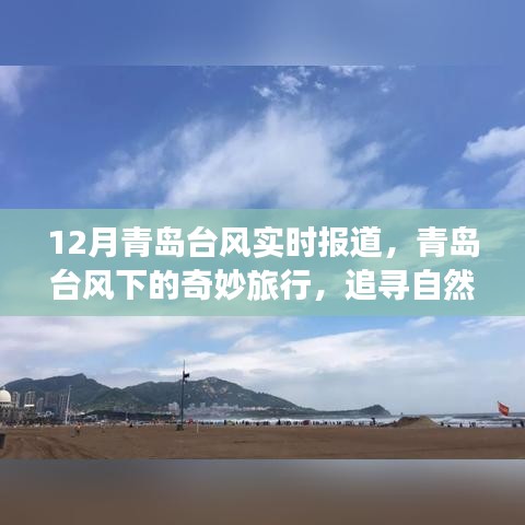 青岛台风下的奇妙之旅，追寻自然美景与内心宁静的港湾