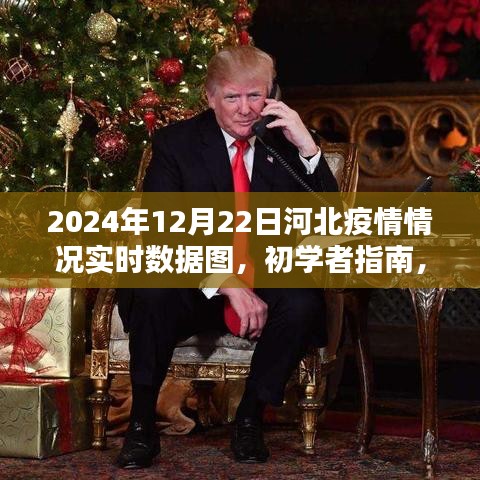 2024年12月22日河北疫情实时数据图解析，初学者指南