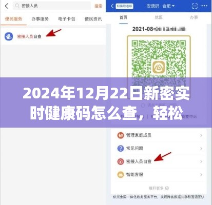 如何查询新密市实时健康码（详细步骤指南，以2024年12月22日为例）