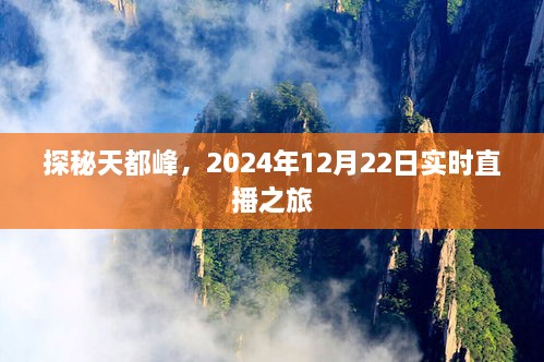 探秘天都峰，实时直播之旅，2024年12月22日独家呈现