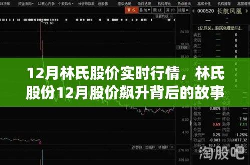 林氏股份12月股价飙升背后的故事，变化、学习与自信的力量驱动实时行情发展。