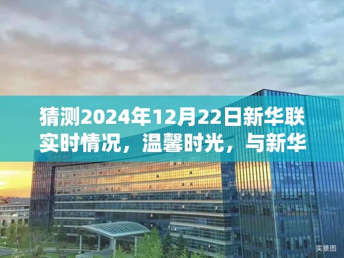 温馨时光预测，新华联在2024年12月22日的奇遇与美好共度时刻