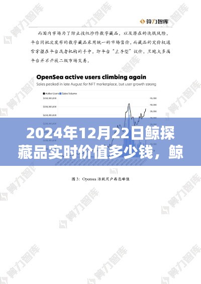 鲸探藏品价值解析，聚焦实时价值预测，深度解读2024年12月22日鲸探藏品价值