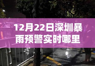 深圳暴雨预警下的探秘之旅，神秘小巷与特色小店的独特风情