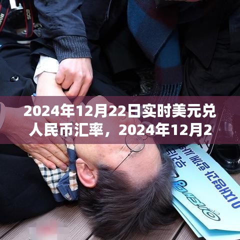 实时解析，2024年12月22日美元兑人民币汇率走势深度报告