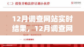 12月调查网站实时结果深度解析，背景、进展与影响全解析