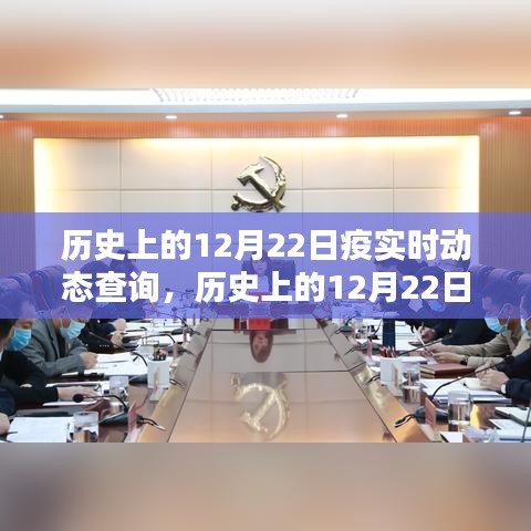 历史上的12月22日疫情实时动态回顾，启示与查询