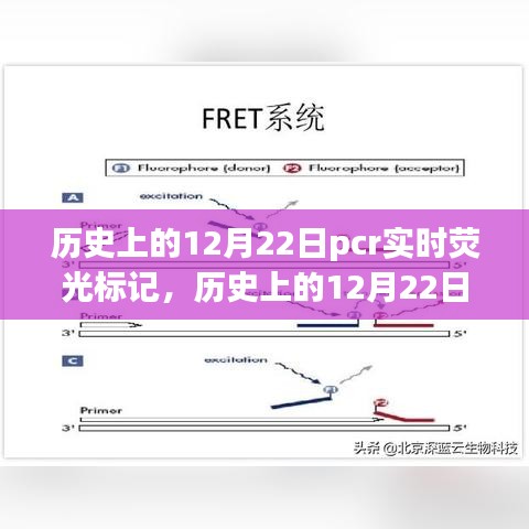 历史上的12月22日PCR实时荧光标记，辉煌历程与未来成就展望