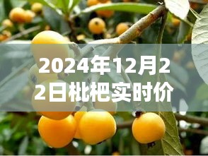 枇杷价格背后的友情与陪伴，2024年枇杷实时行情走势及温馨日常