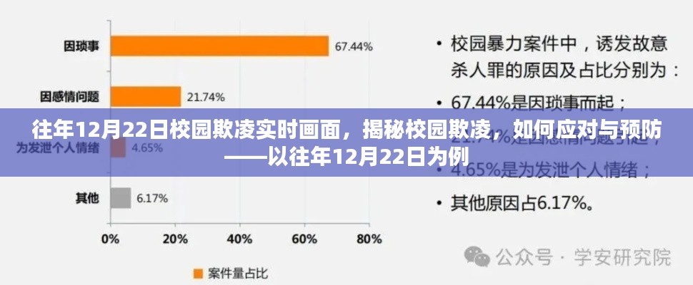 揭秘校园欺凌，如何应对与预防——以12月22日实时画面为例