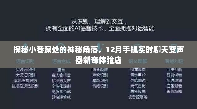 探秘小巷深处的神秘角落，新奇手机实时聊天变声器体验店揭秘