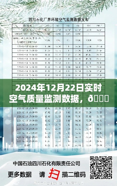 2024年12月22日空气质量报告，实时监测数据解析与环境保护建议