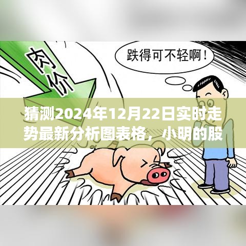 小明的股市风云，揭秘2024年12月22日股市走势与神秘友情之旅