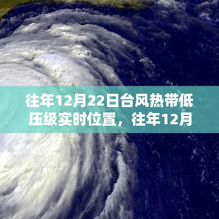 往年12月22日台风热带低压级实时位置分析与探讨，实时数据、观点阐述结合的研究报告