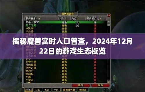 2024年12月 第255页