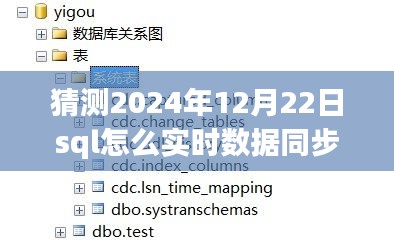 2024年SQL实时数据同步技术展望，聚焦数据协同革新路径与未来实时同步发展