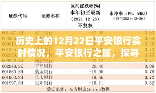 平安银行之旅，探寻自然美景与岁月静好的温馨旅程（12月22日实时回顾）