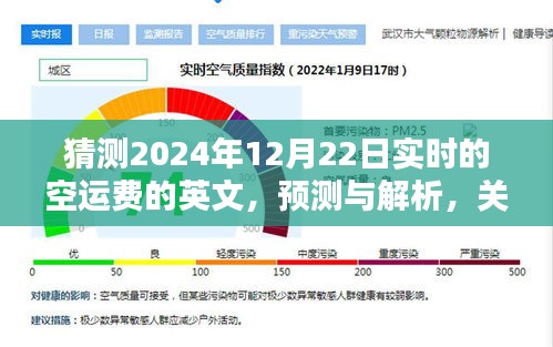 关于未来空运费的预测与解析，实时空运费英文表述趋势展望（2024年12月22日）