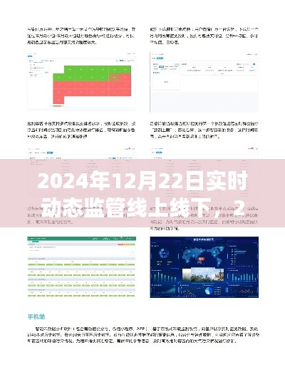 2024年实时动态监管线上线下任务执行指南，初学者与进阶用户必备