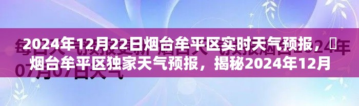 2024年12月25日 第18页