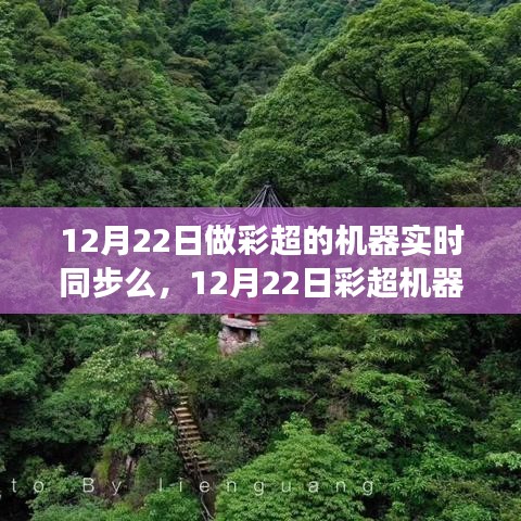 12月22日彩超机器同步自然美景，启程心灵之旅，探寻宁静与自我之境