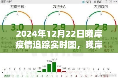 2024年12月22日曦岸疫情追踪实时图深度分析与个人观点