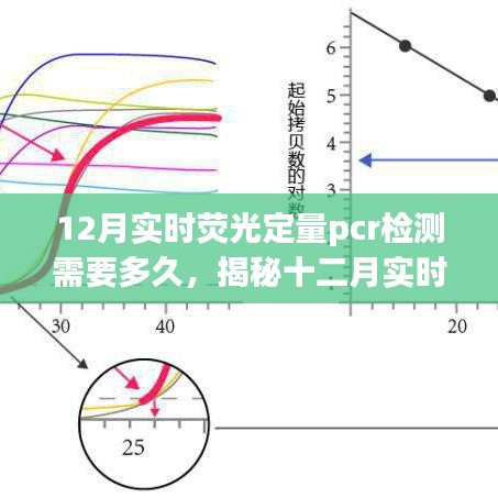 揭秘十二月实时荧光定量PCR检测所需时间与流程详解