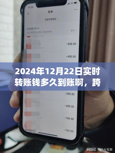 跨越时空的金融魔法，2024年实时转账成长之旅