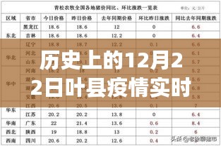 历史上的叶县疫情实时区域图表回顾与洞察，12月22日数据洞察