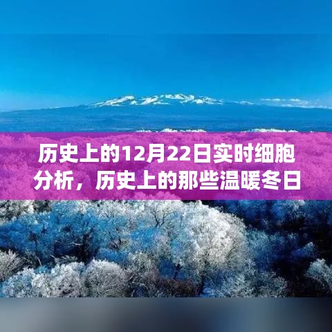 实时细胞分析下的历史探寻与自然心灵觉醒之旅，历史上的温暖冬日美景之旅