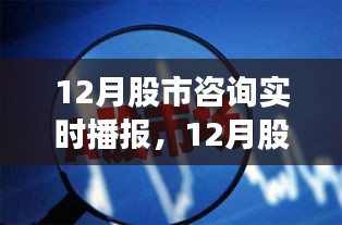 12月股市咨询实时播报详解，股市入门与进阶实操手册