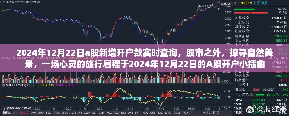 A股开户实时查询与心灵自然之旅启程