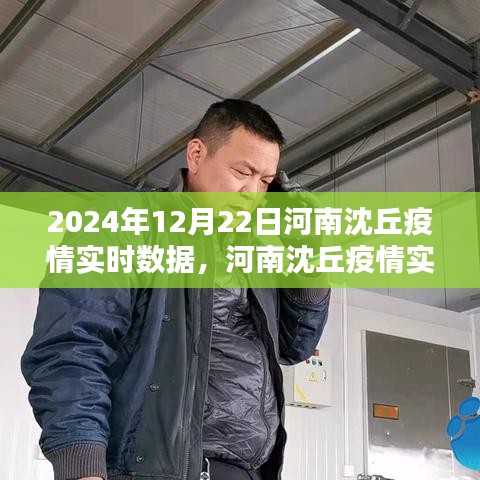 河南沈丘疫情实时数据与小巷独特风味揭秘