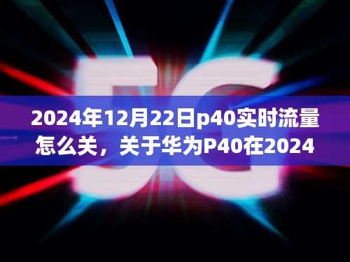 华为P40实时流量功能关闭指南，2024年12月22日操作步骤与注意事项