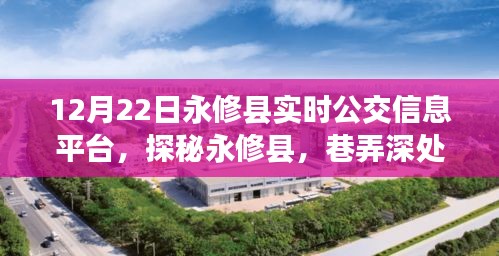 探秘永修县实时公交信息平台，公交奇缘与周边隐藏瑰宝的深度探索（12月22日）